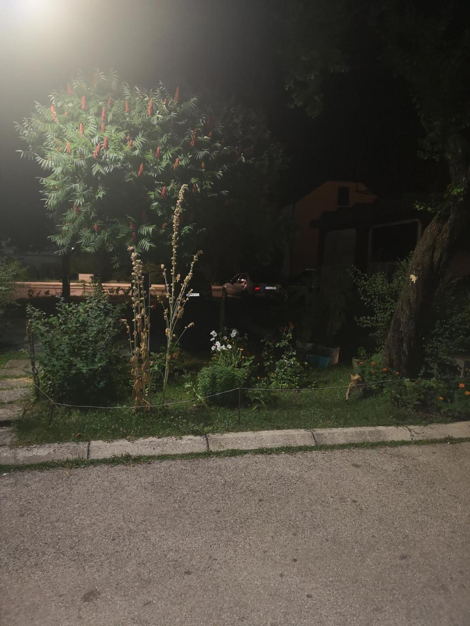 Apartman Sunny Cetinje Exterior foto