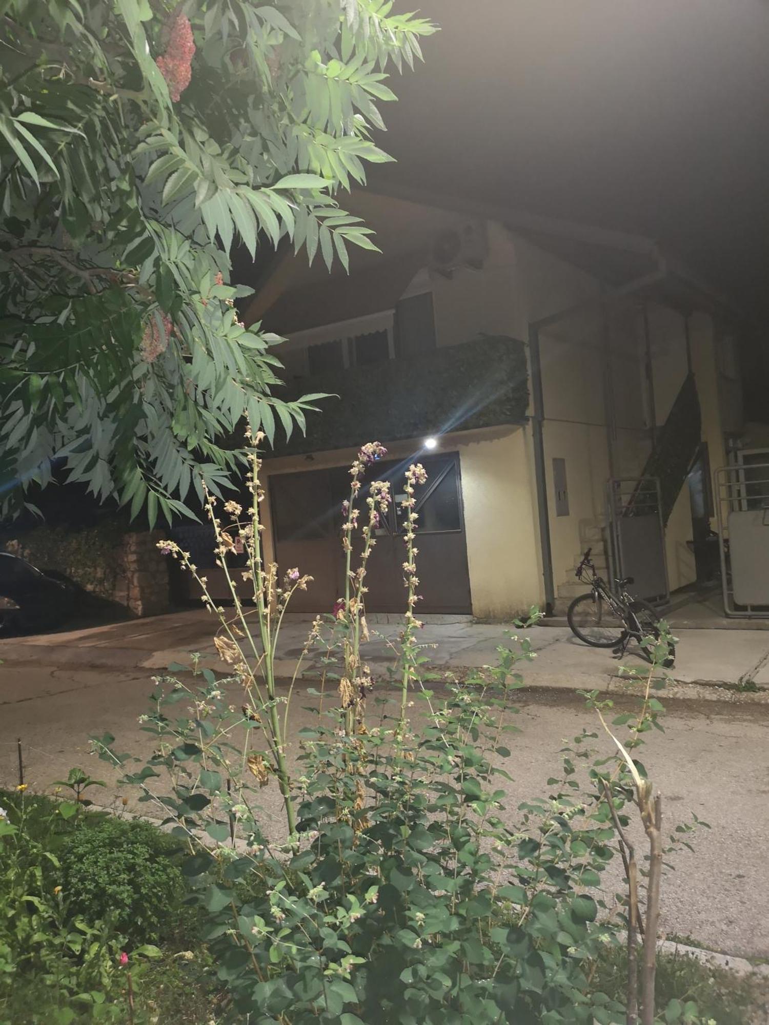 Apartman Sunny Cetinje Exterior foto